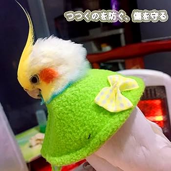 Amazon | Hitasi 鳥用 エリザベスカラー 首輪 4個セット 鳥類